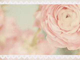 114.gif
