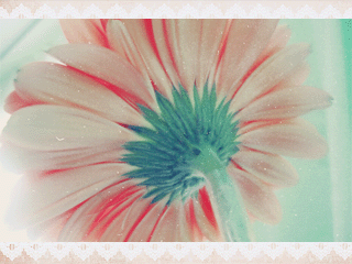 117.gif