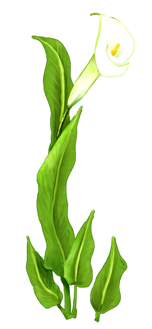 15.png