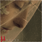 175.gif