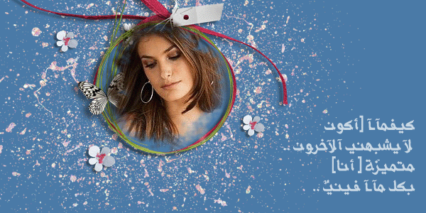 211.gif
