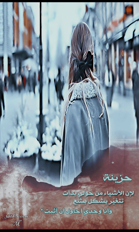 229.gif