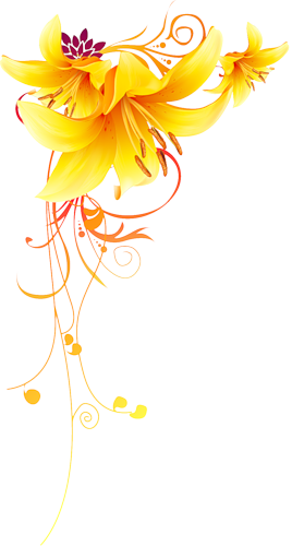 24.png