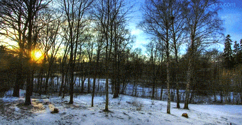 26.gif