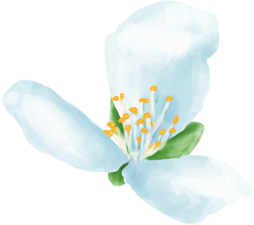 26.png