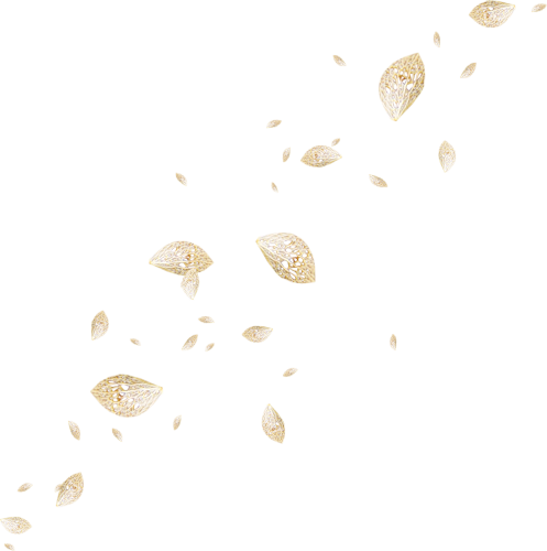 28.png