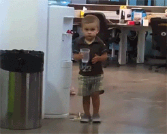 34.gif