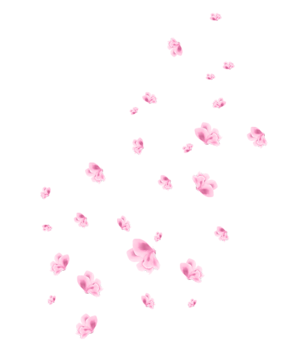 42.png