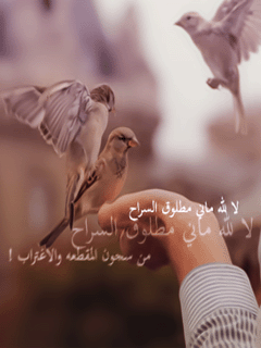 78.gif