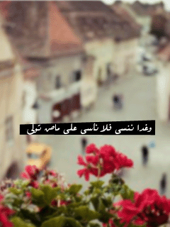 81.gif