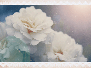 92.gif