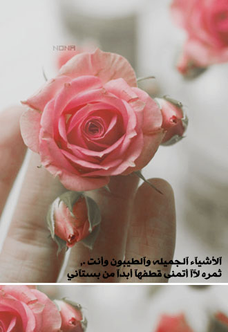 967.jpg
