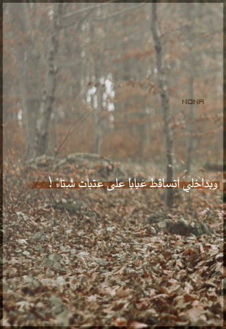 981.jpg