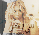 33.gif