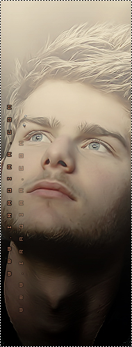 398.jpg