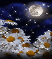 4.gif