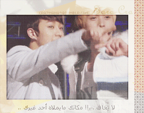 40.gif