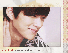 41.gif