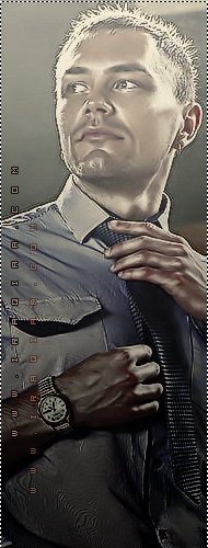 438.jpg