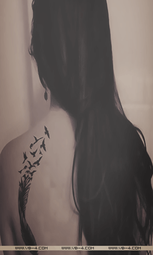 50.gif