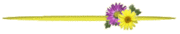 64.gif