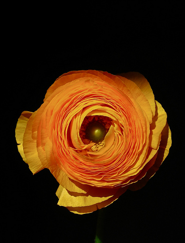 75.jpg