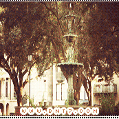 12.gif