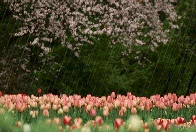 125.gif