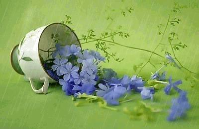 131.gif