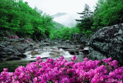 135.gif