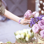 151.gif