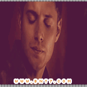 19.gif