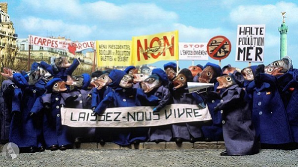 201.jpg