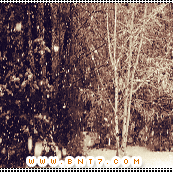 21.gif