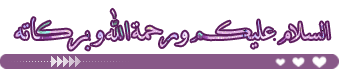 213.gif