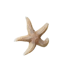 236.png