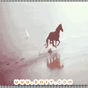 24.gif