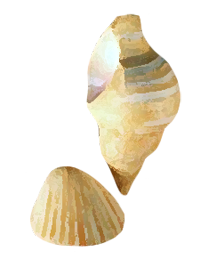 241.png