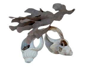 242.png