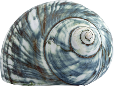 243.png