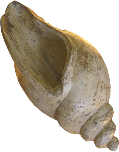 245.png