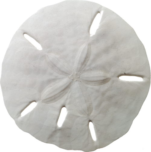 246.png