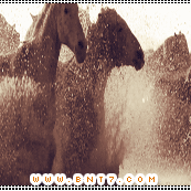 25.gif