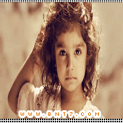 33.gif