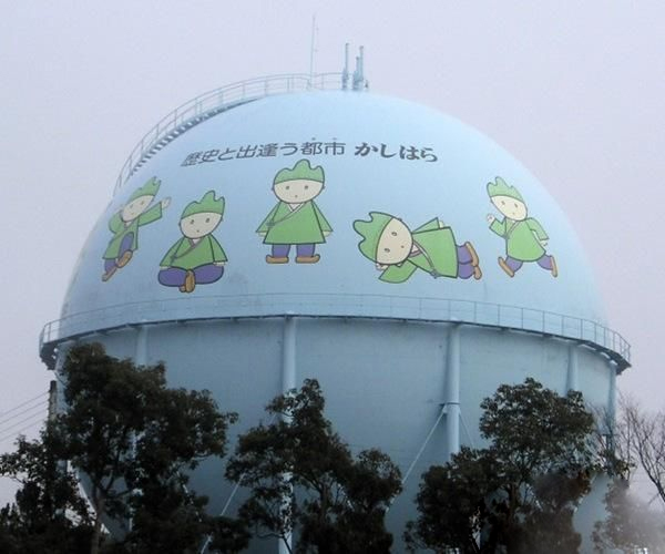 96.jpg