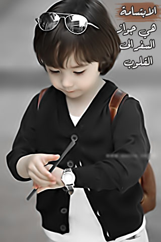 736.jpg