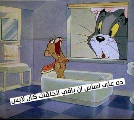 413.jpg