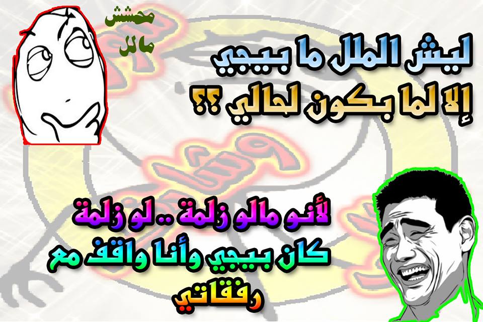 782.jpg