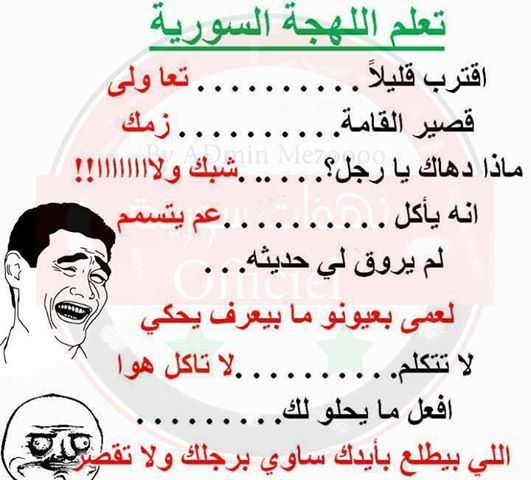 798.jpg