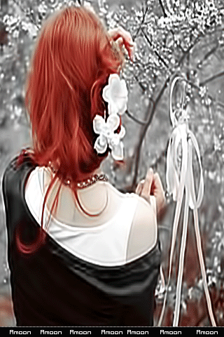 45.gif